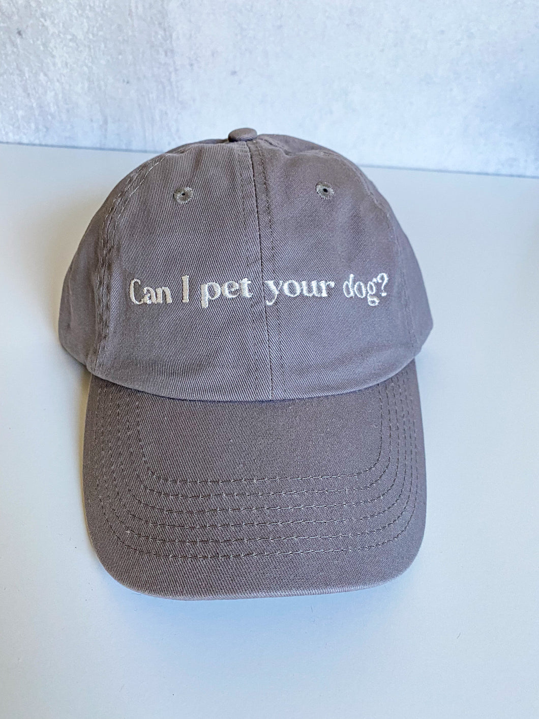 Can I Pet Your Dog? Hat